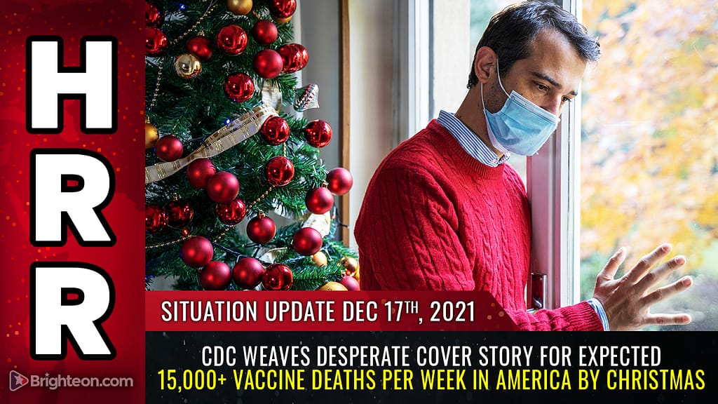 CDC weekly deaths by Christmas