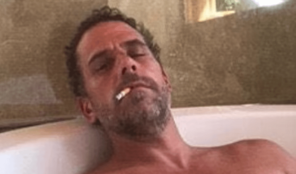 more evidence on Biden crime family