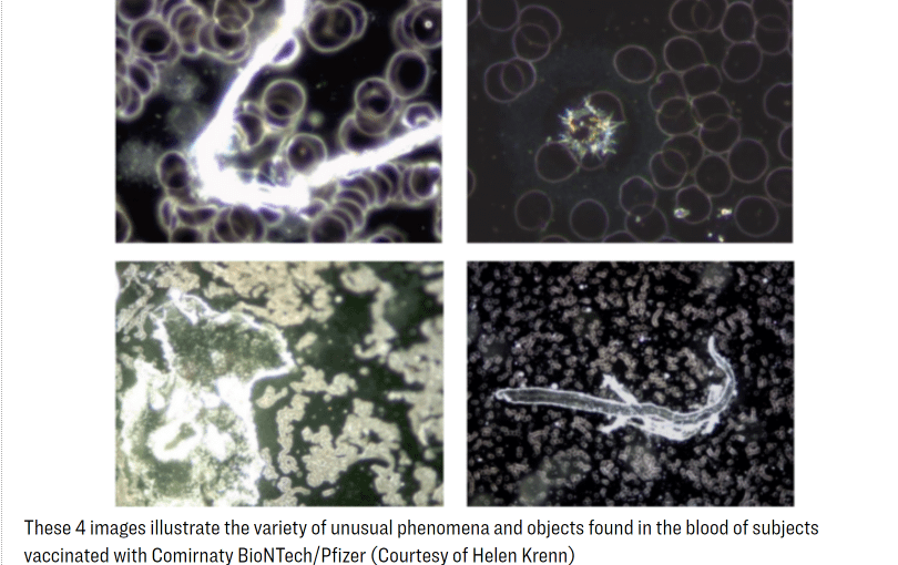 metals in COVID vaccine